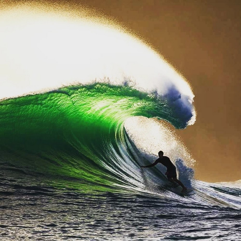 Meet your Posher, Karl